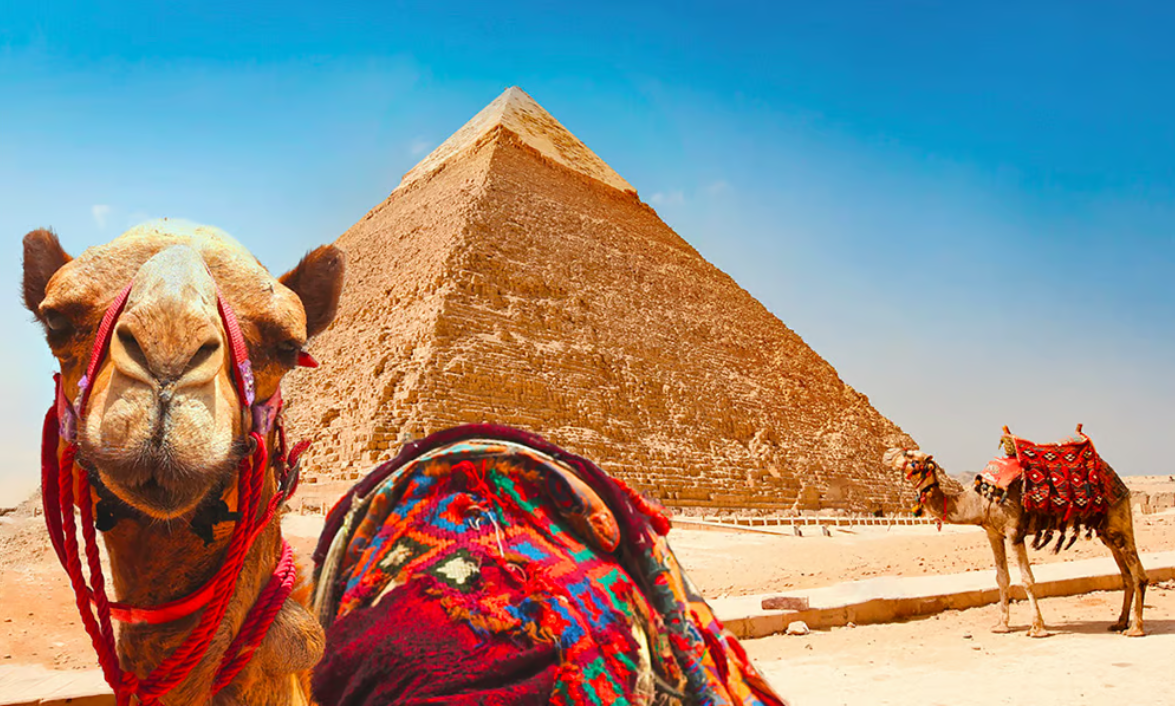 5 Star Jewels of The Nile