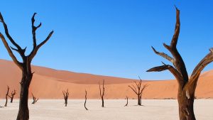 Which Airlines Let You Extend Miles?